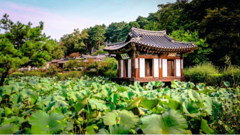Hidden Cultural Gems in South Korea